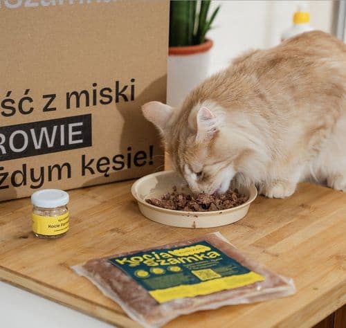 Kocia Szamka — zdjęcie sklepu