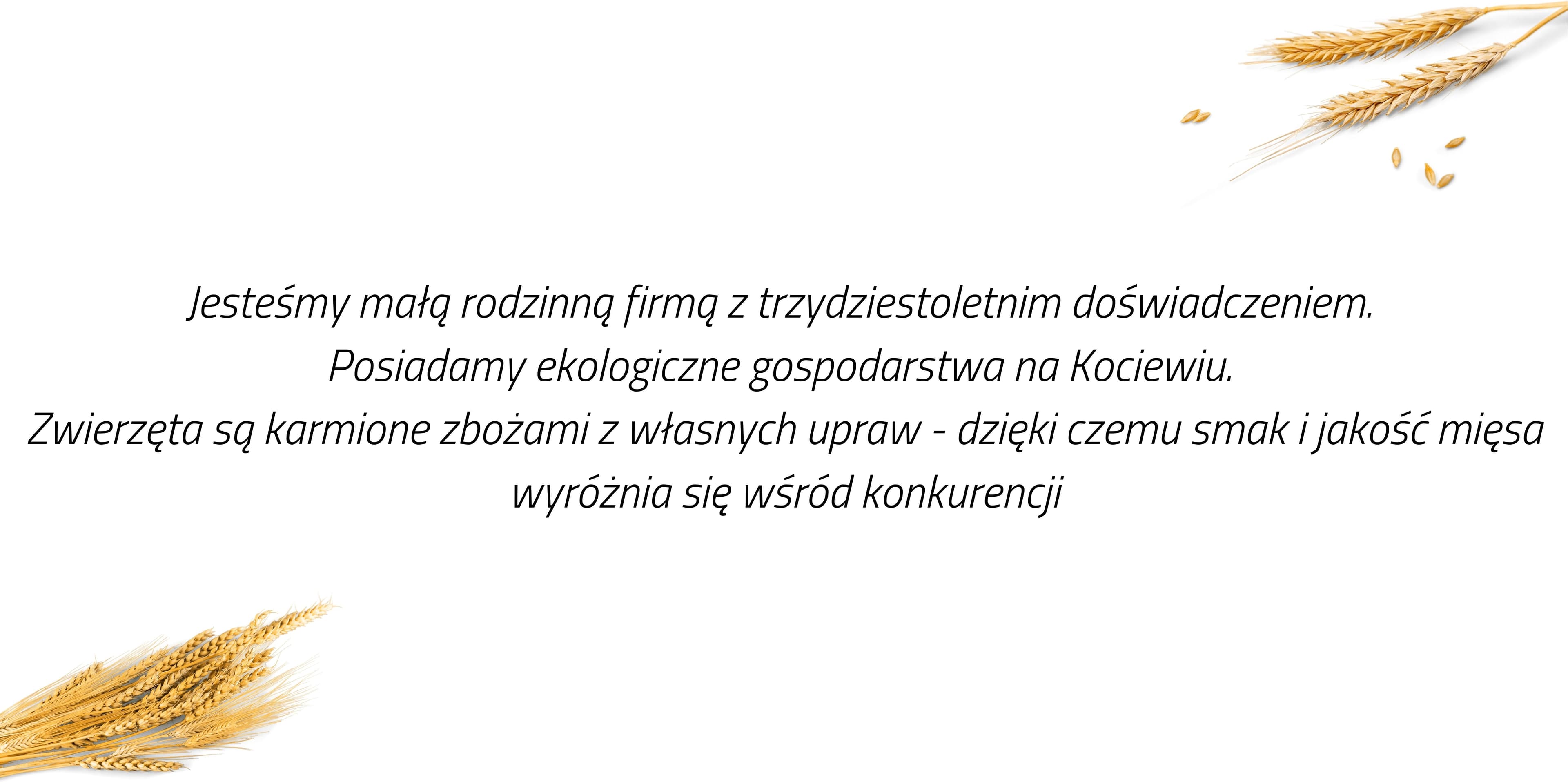 BEKON — zdjęcie sklepu
