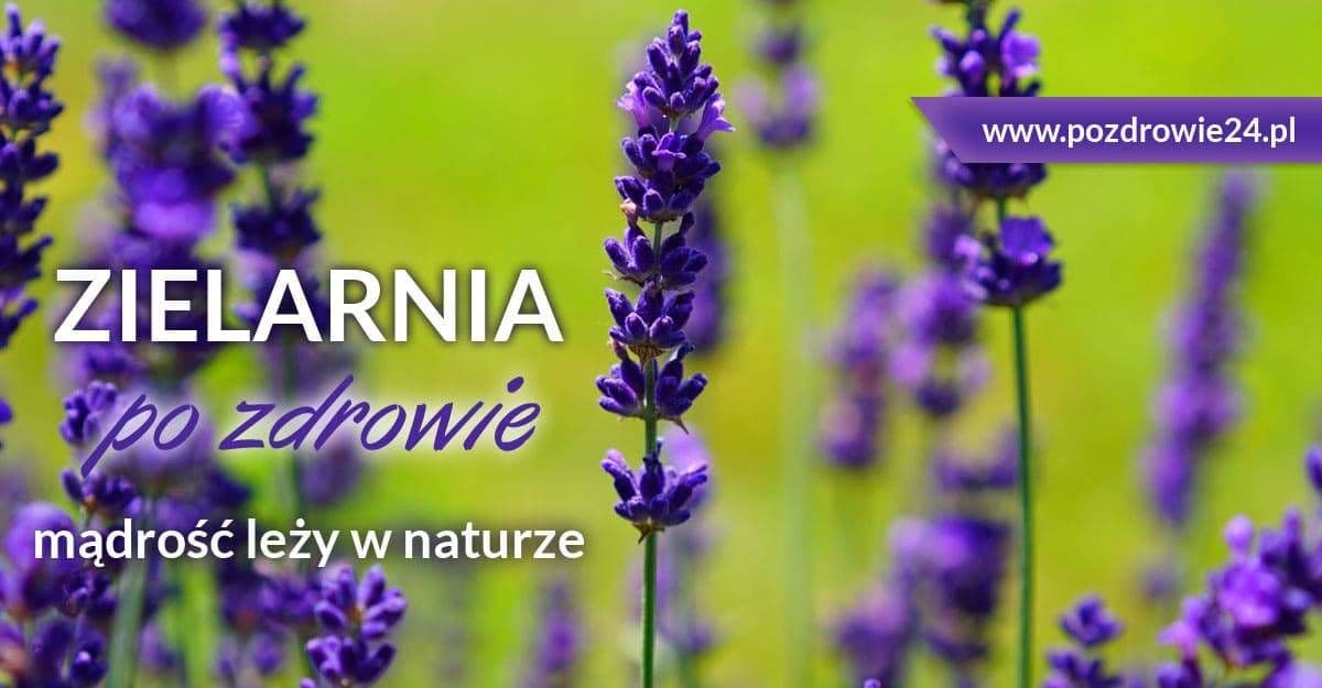 Zielarnia Po Zdrowie 24 — zdjęcie sklepu